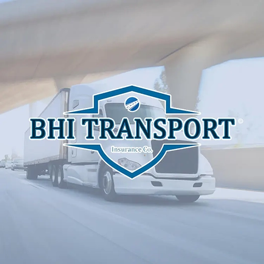 BHI Transport Policy Audit Cover